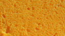 spongcord Banner