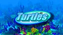 turtles banner