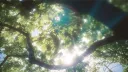 ֹ ₊ 𐙚 𝘛𝘩𝘦 𝘓𝘰𝘵𝘶𝘴 𝘊𝘢𝘧𝘦 ᝰ.ᐟ⊹ ࣪ ˖ Discord server banner