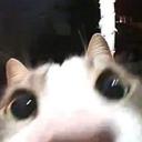 DSMP roleplay || apocalypse AU Banner