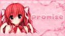 promise banner