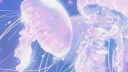 /bell banner