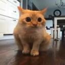 endiseye mahal yok Banner