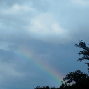 𝓬𝓱𝓮𝓻𝓻𝓲 ❤ Discord server banner