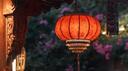Rice Field Banner
