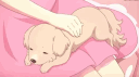 Puppy Park banner