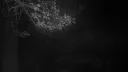 /novacane banner