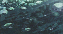 jade`s hangout banner