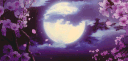 Ukiyo﹒浮世 server banner