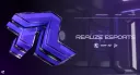 Realize Esports banner