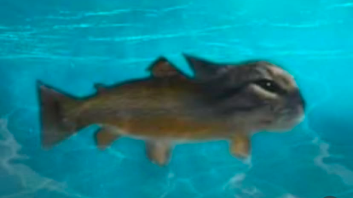 Make cool FRIENDS (teens only) (mostly from europe) Discord server banner