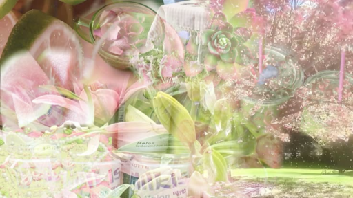 Hydrangea𓈒 ˘ sfw ♡ Discord server banner