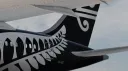 Scandinavian Airlines banner