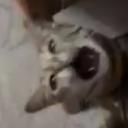 Chae's Hangout Banner