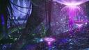 ᑭᗩᑎᗪOᖇᗩ ᖇEᗷOᖇᑎ Banner