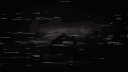 THSTORE [ King Of Che4t ] banner