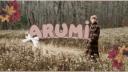  ◟  /arumi Banner