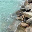 coral | social, decor, art Banner