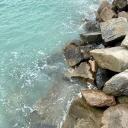 coral | social, decor, art Banner