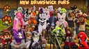 NB Furs banner