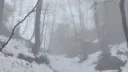 make friends Discord server banner