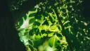 Мастерская Джунглей 🌳 ・ Общение ・ Игры ・ Аниме и Манга banner