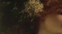 ๐โ the court of bella endora Discord server banner