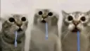 The Fuzz Discord server banner
