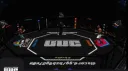 Ultimate Undisputed Championship banner