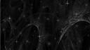  𝚜𝚝𝚊𝚛𝚕𝚒𝚐𝚑𝚝.  Banner
