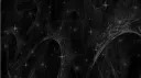 ★ 𝚜𝚝𝚊𝚛𝚕𝚒𝚐𝚑𝚝. ★ Discord server banner