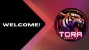 TORA Esports 🐯 banner