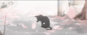 ᵕᵕ  /   @wept   (' ⩊ ')  ֪ Banner
