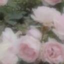 (New name in progress) Banner