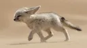 [DSCS] Desert Fennec Empire banner