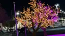 Nakai Crew Discord server banner
