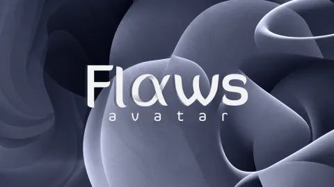 Flaws banner