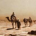 Arabian Hub Banner