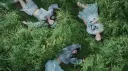₍₋︨︡ₒ₋︧︠₎ ۫ ۪ L۫MY ܄ RT2K Discord server banner