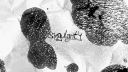 Singularity banner