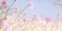 egirls club ᗢ /egirly・guilds banner