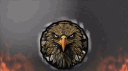 Warhawk Division banner