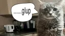 egirls lovers server banner