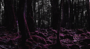 rxv3n server banner