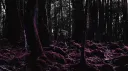 rxv3n Discord server banner