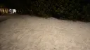 🤎 july 𓂃 ask2dm ⊹ vcs ⊹ friends ⊹ sociαl ⊹ giveαwαys ⊹ egirls ⊹ non-dating ⊹ sfw server banner