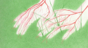 utopia server banner