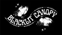 Blacklit Canopy banner