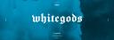 WhiteGods   Banner