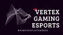 VERTEX GAMING Banner